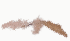 Flying Bird 2